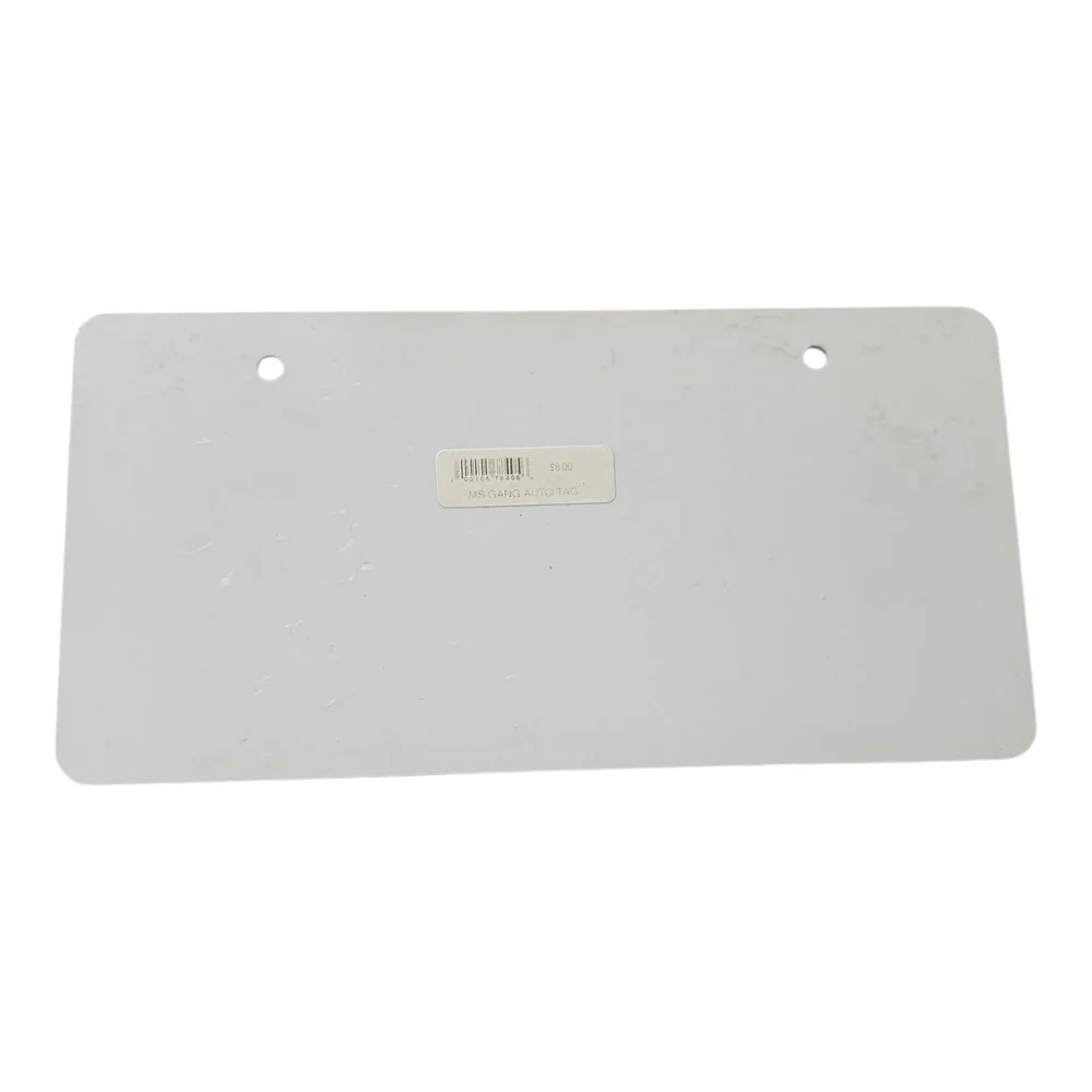 Walt Disney World Epcot Mission Space License Plate‎ Mickey Minnie Pluto Plastic
